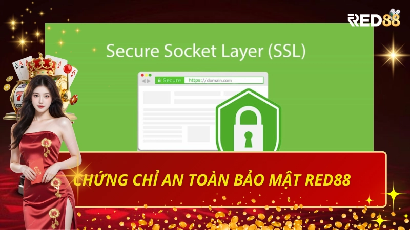 Chứng Chỉ An Toàn Bảo Mật Red88 – Bảo Vệ Tuyệt Đối Người Chơi